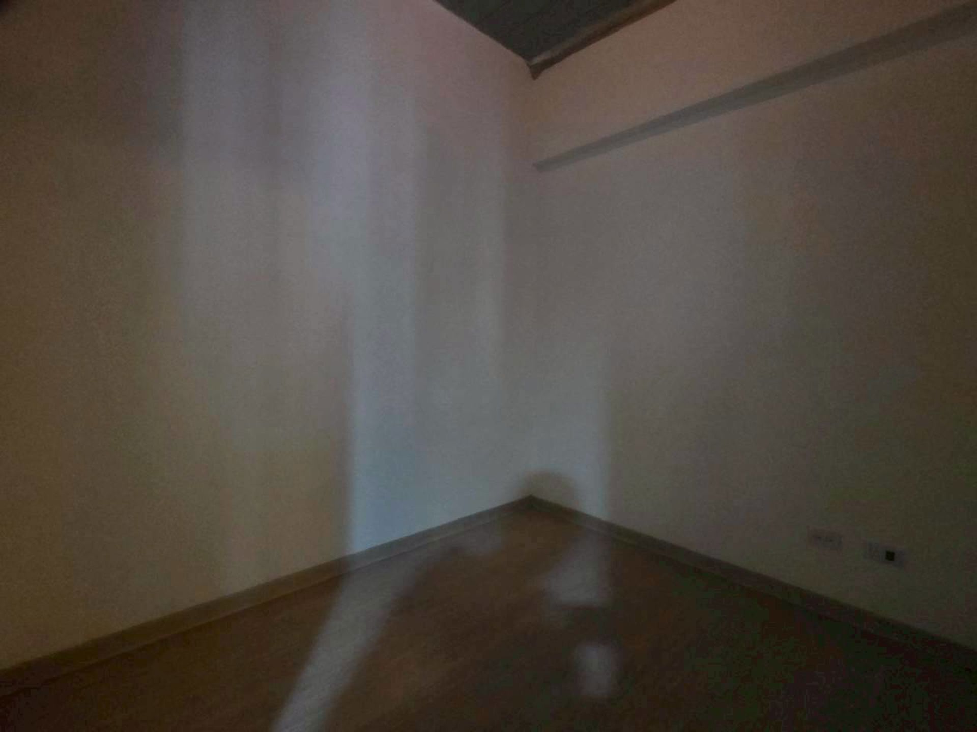 相片 7