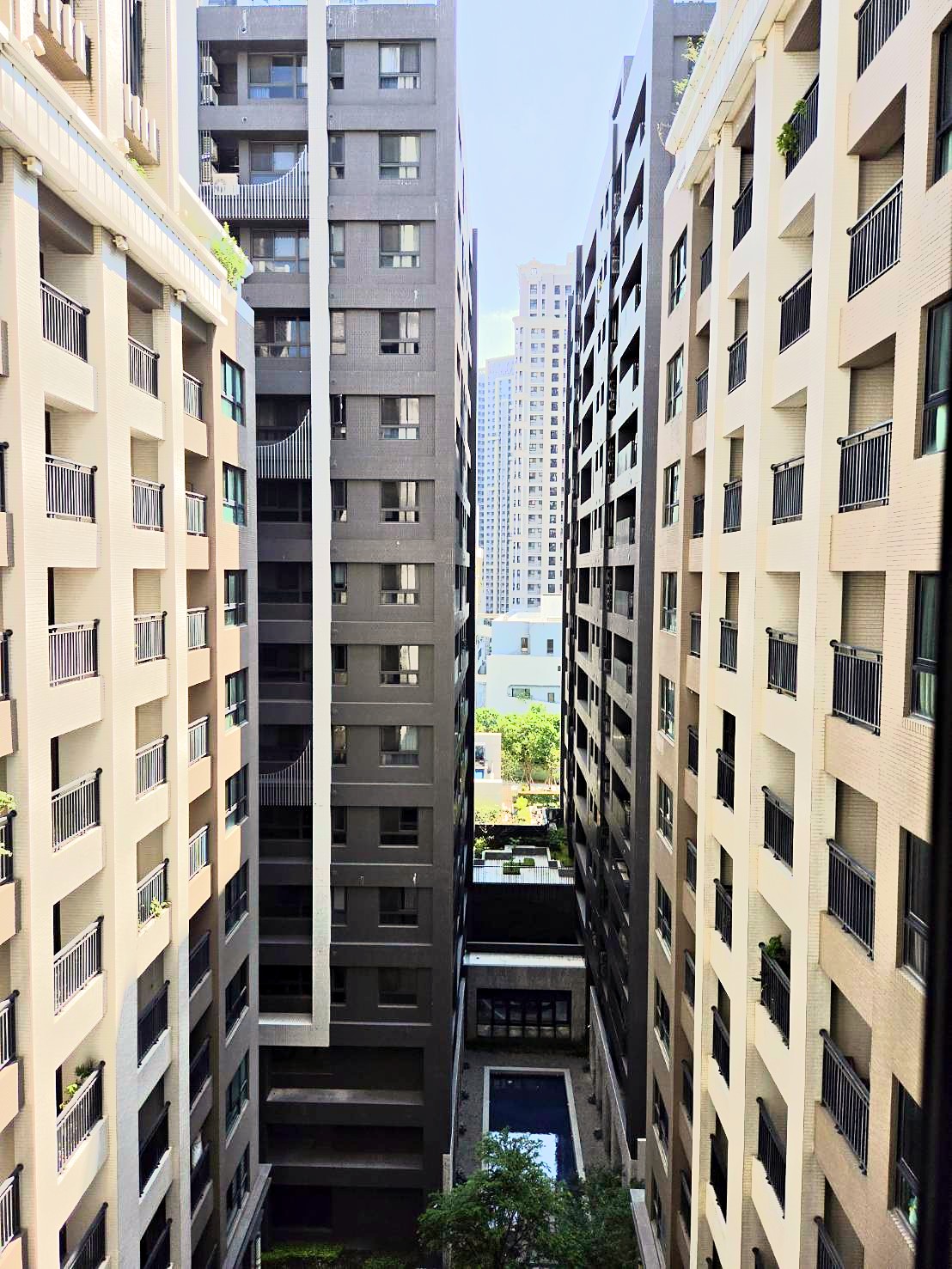 相片 7