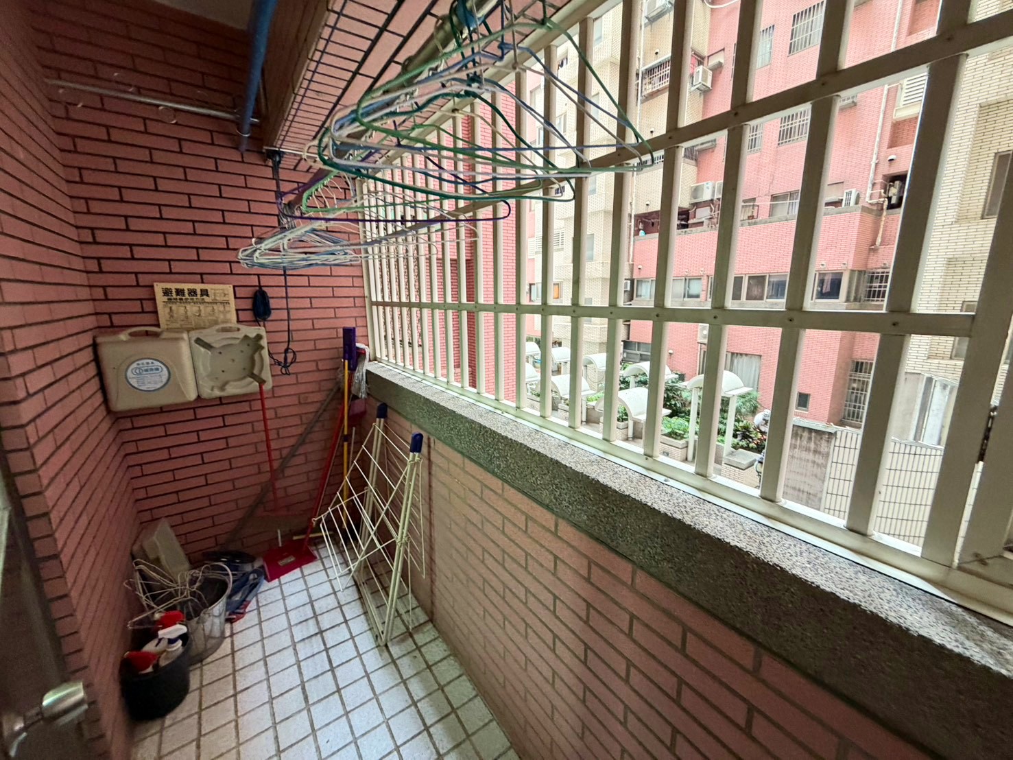 相片 7