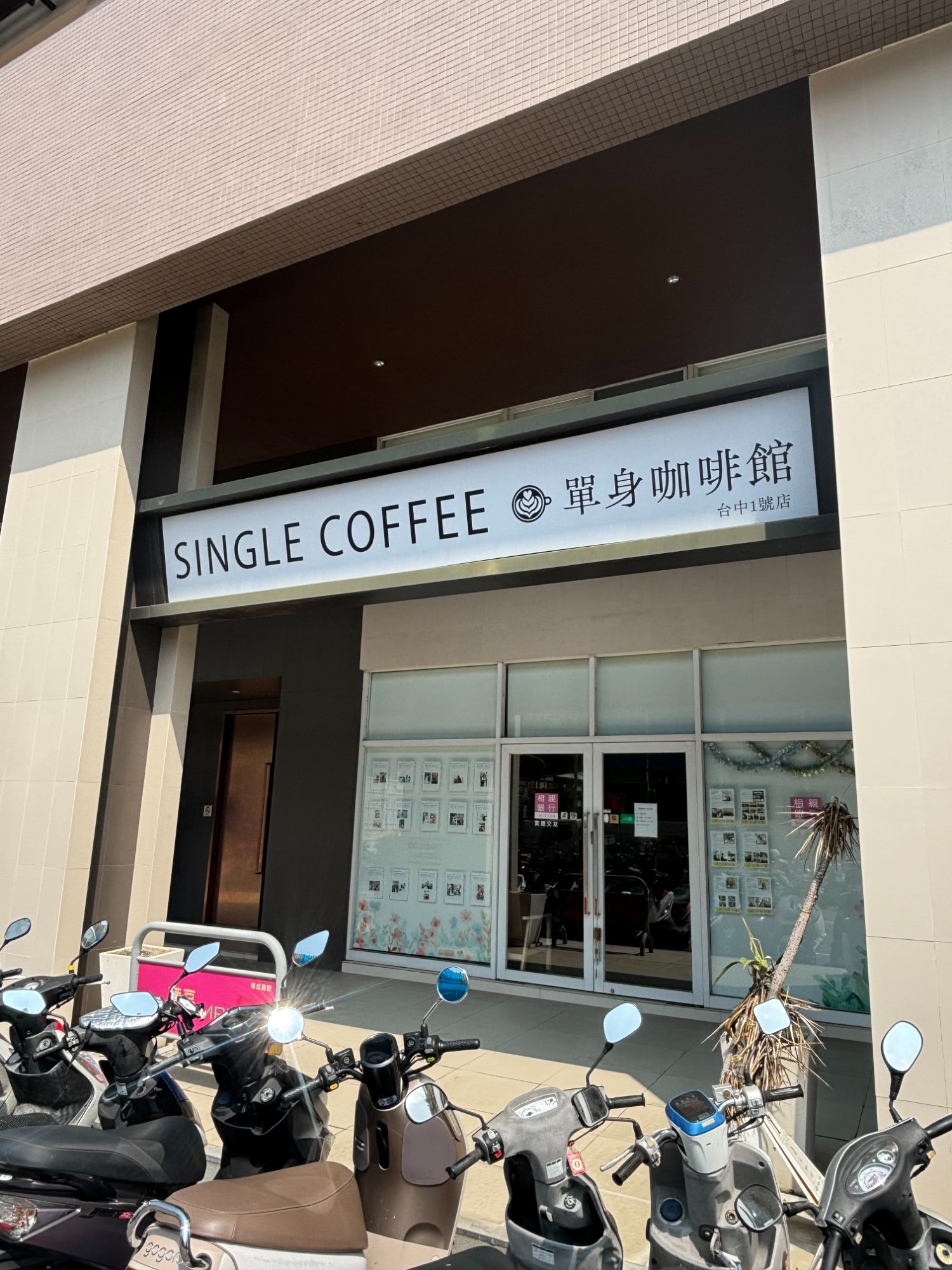 相片 7