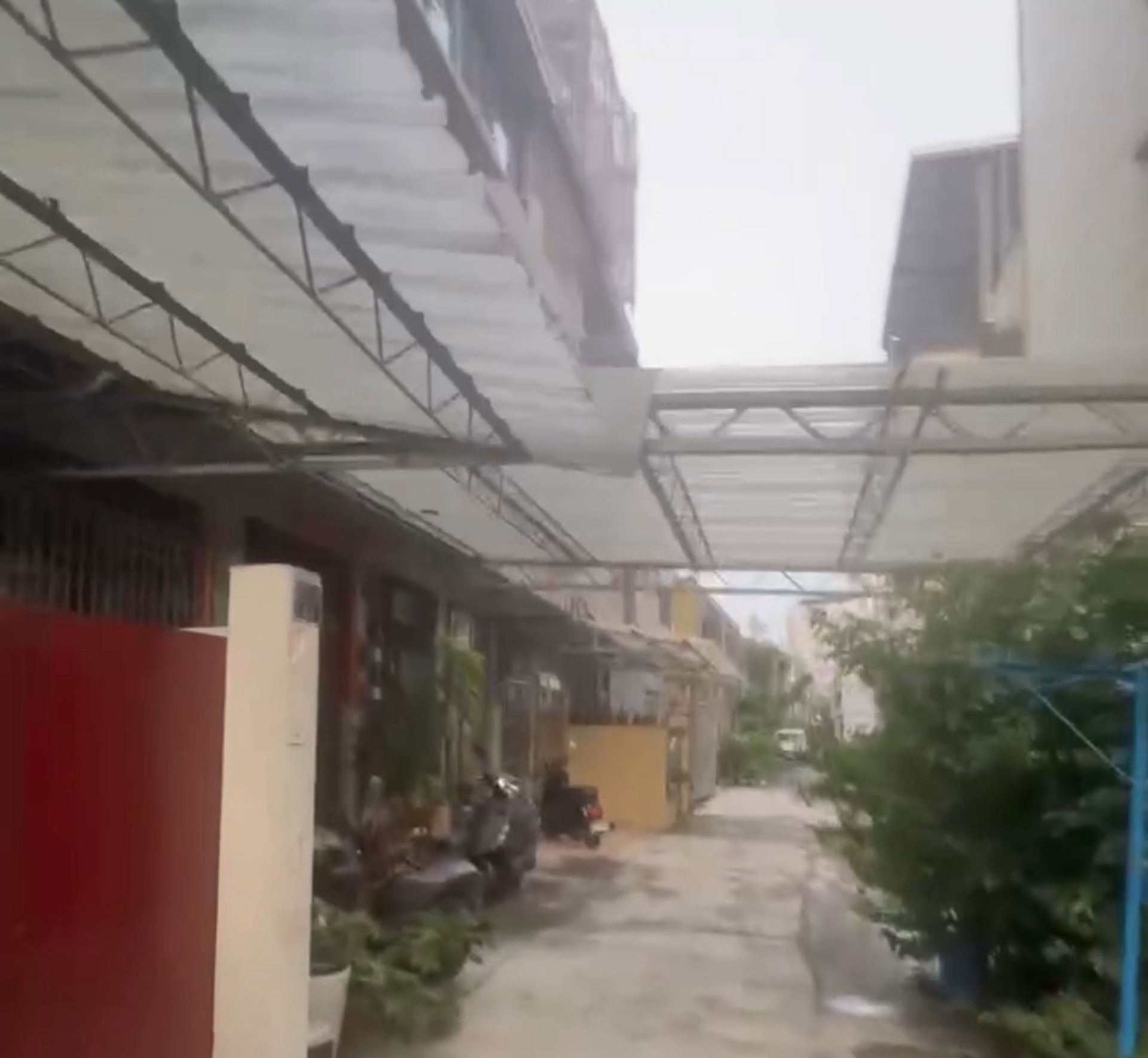 相片 2