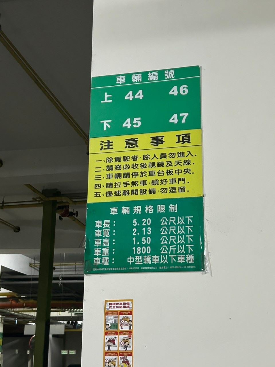 相片 9