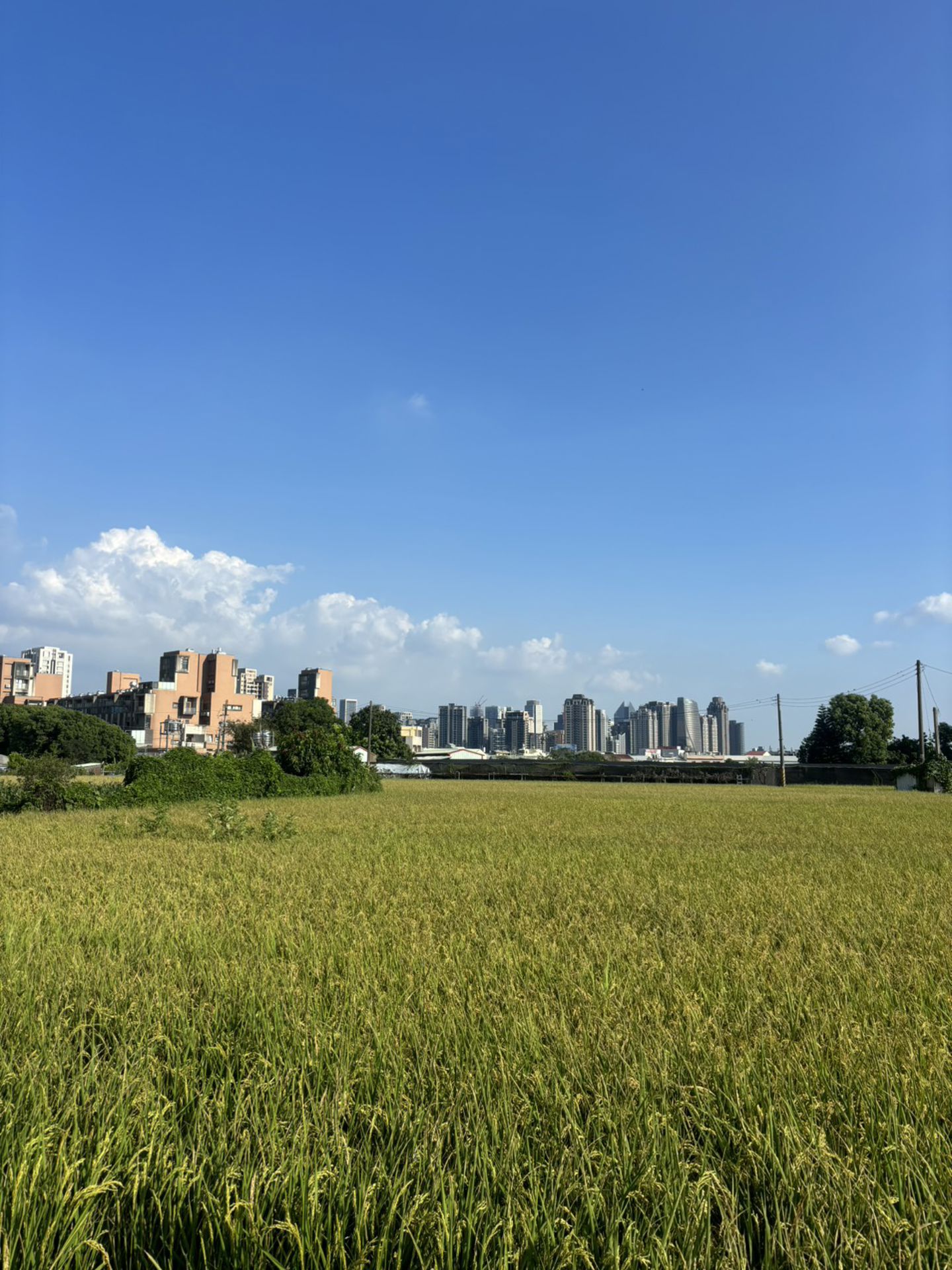 相片 2