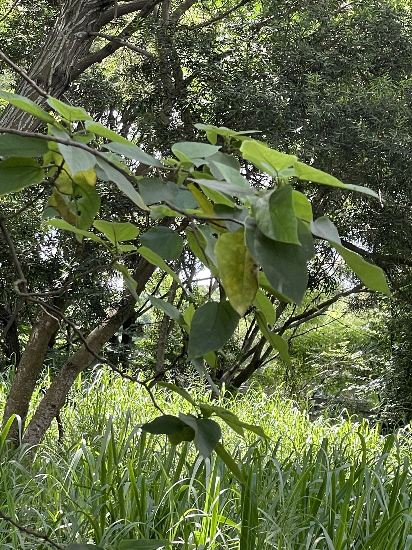 相片 3