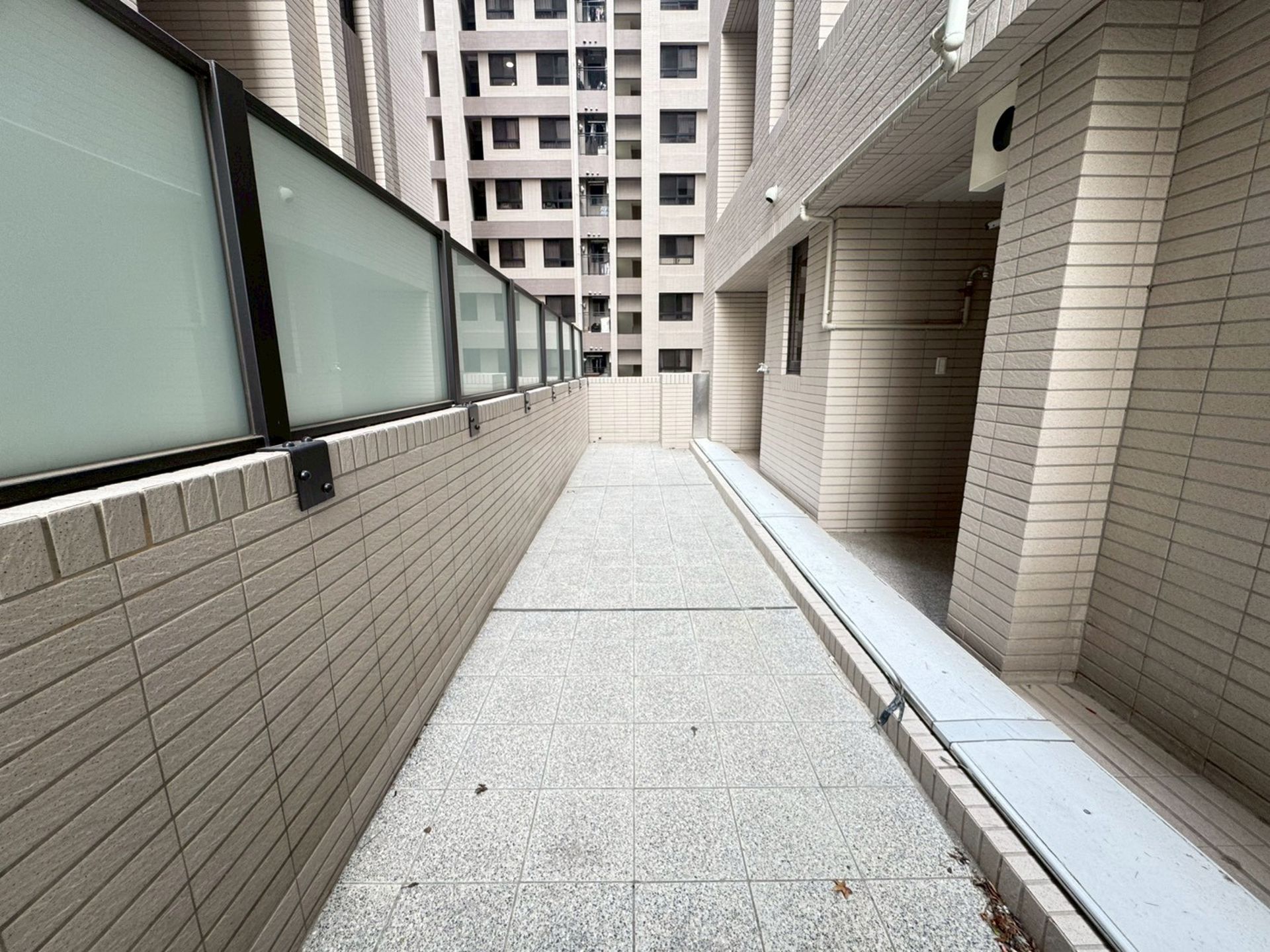 相片 4