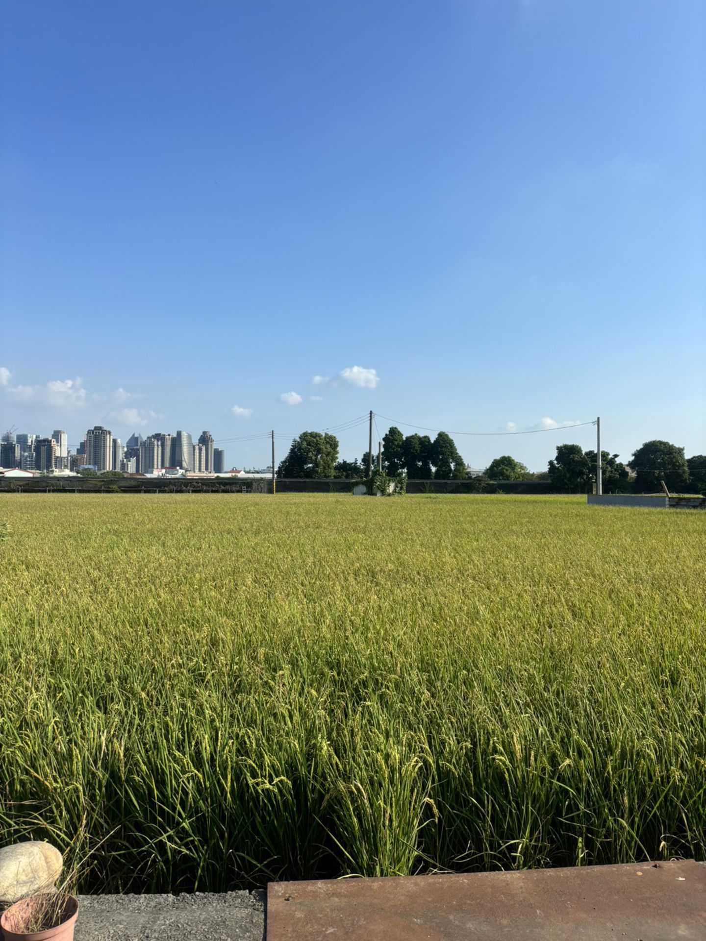相片 4
