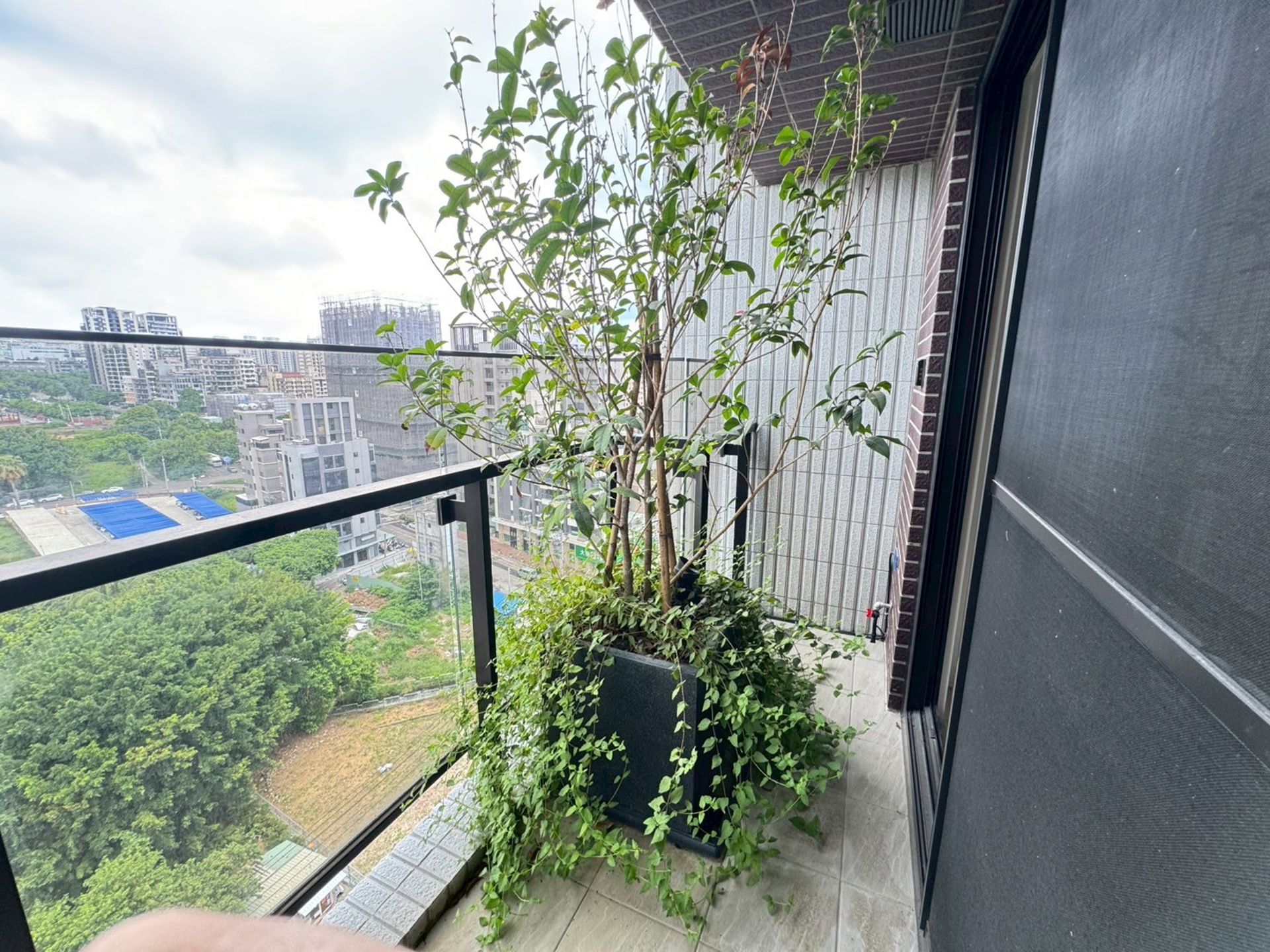相片 5