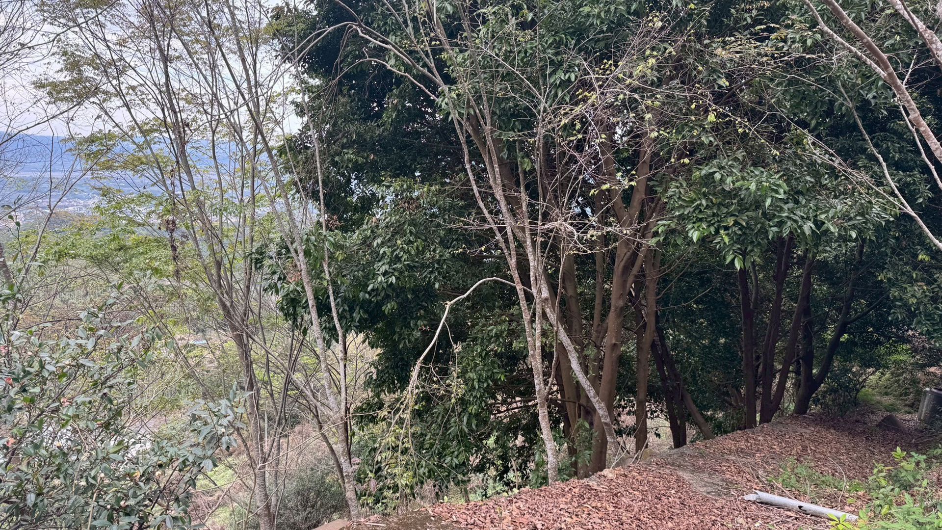 相片 5