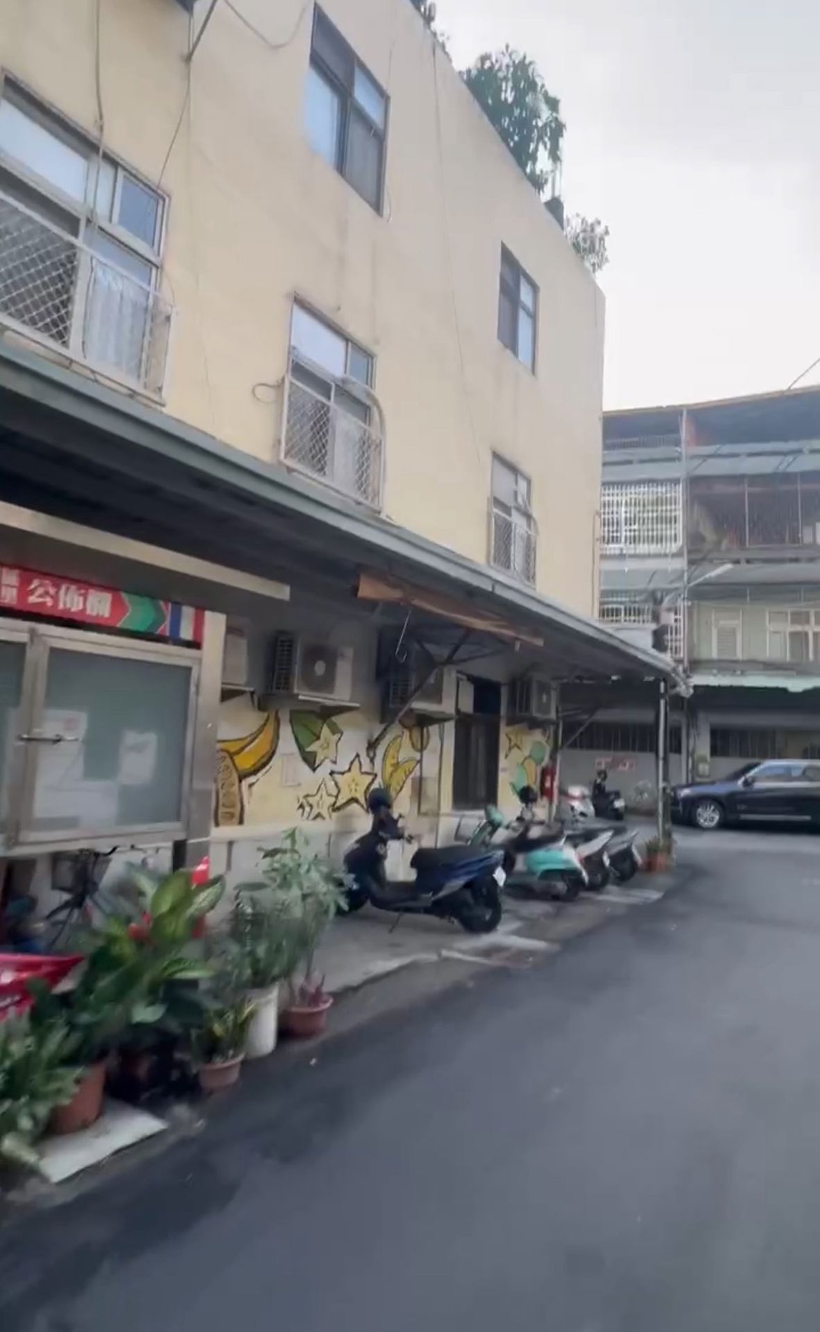 相片 7