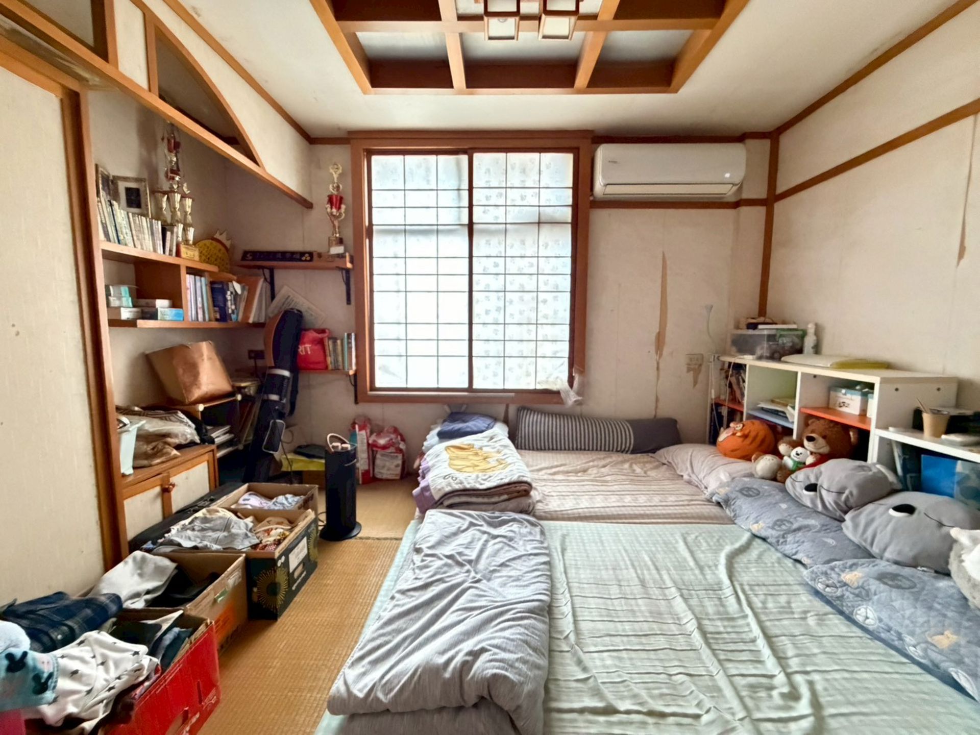 相片 8