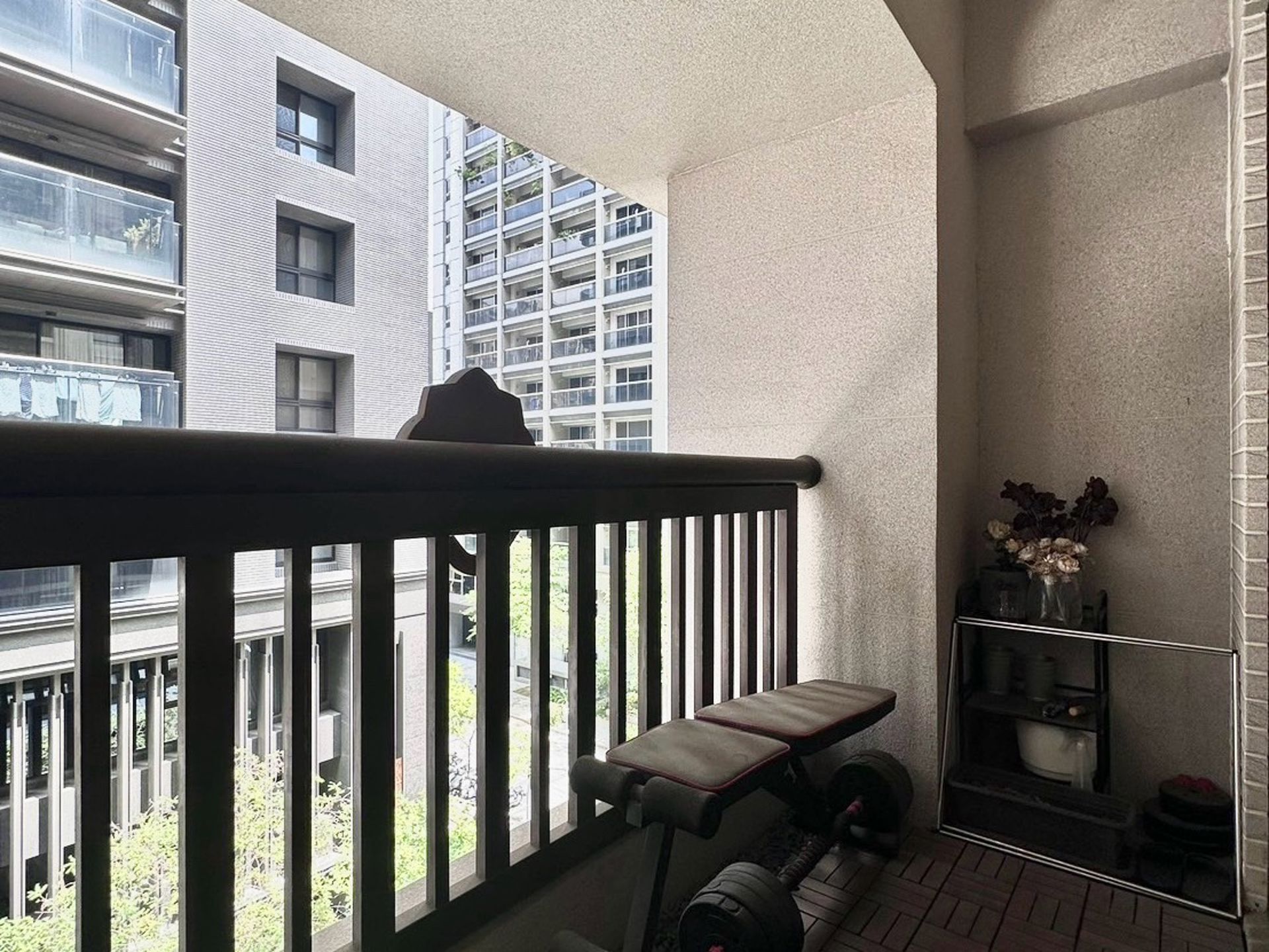 相片 8