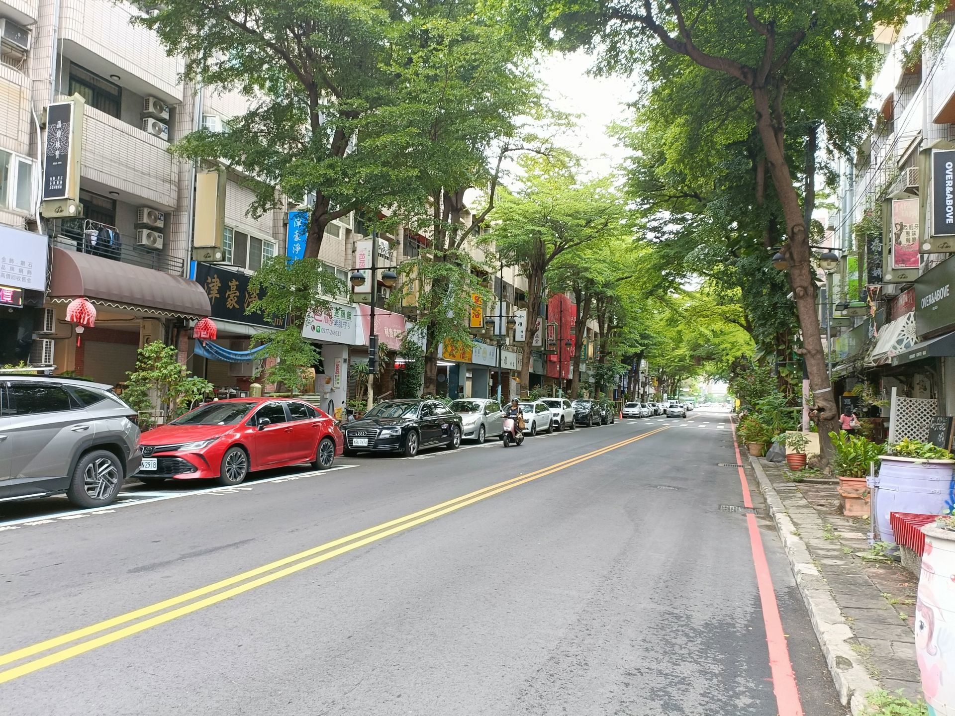相片 4