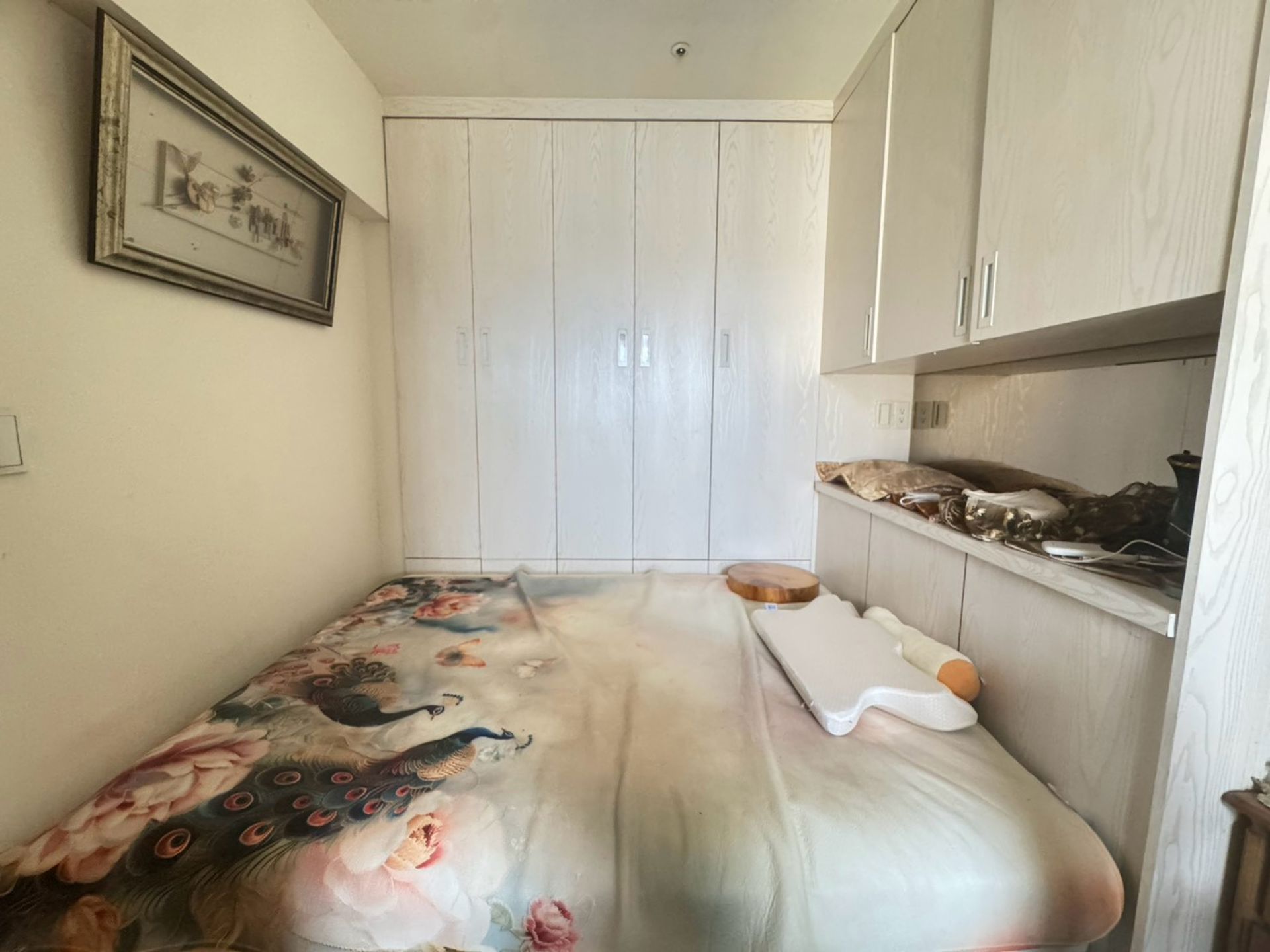 相片 8