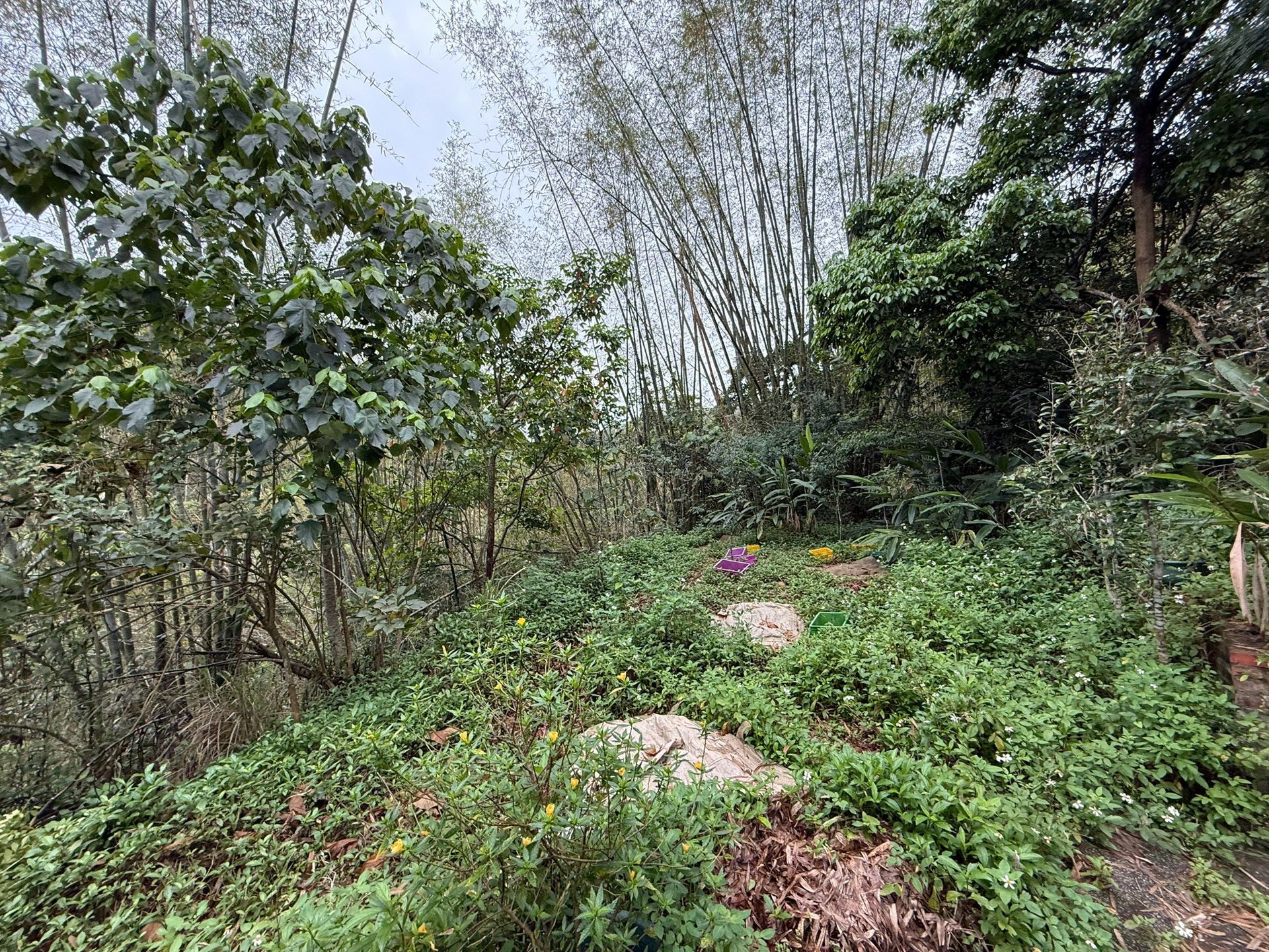 相片 9