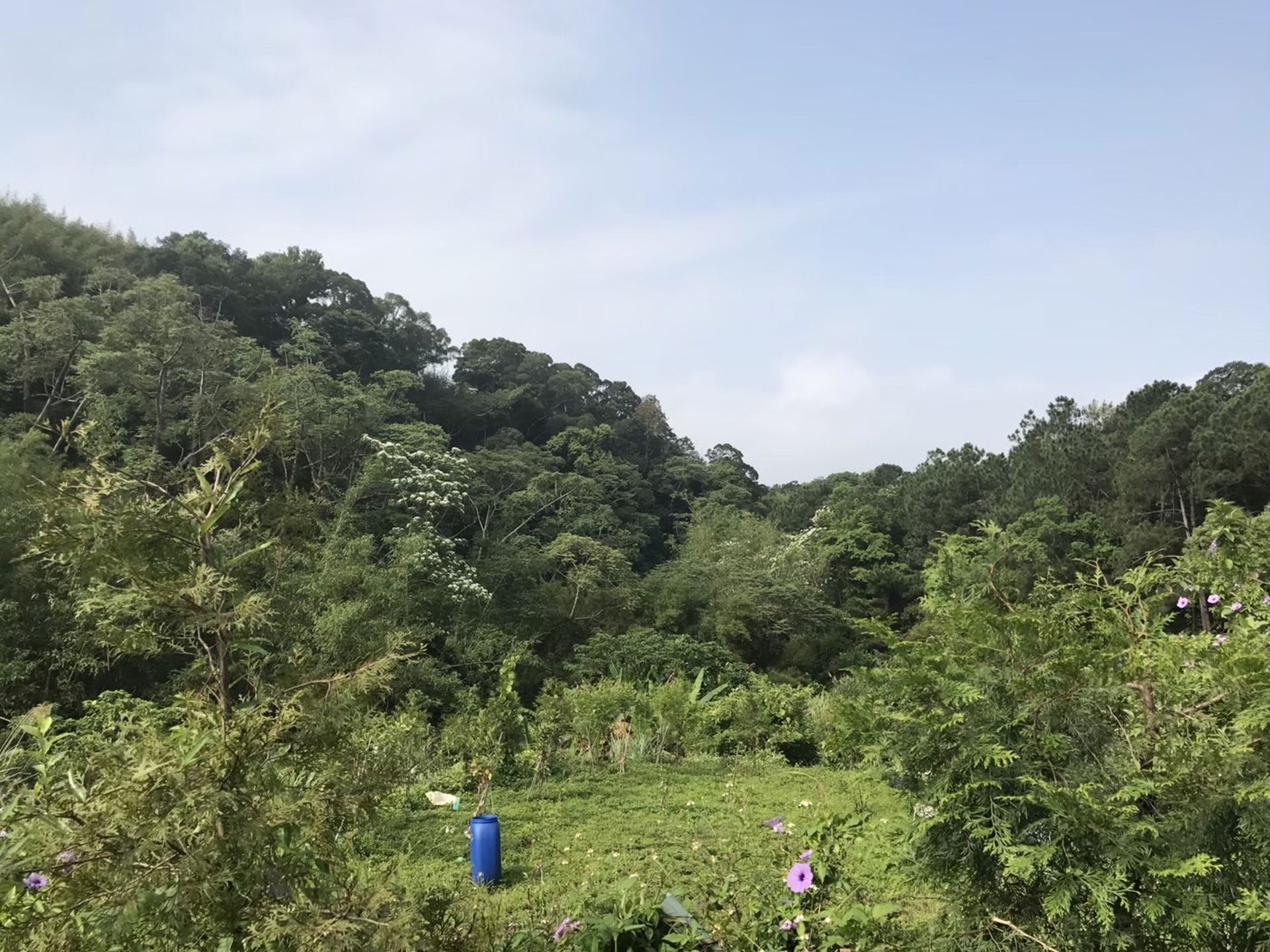 相片 10