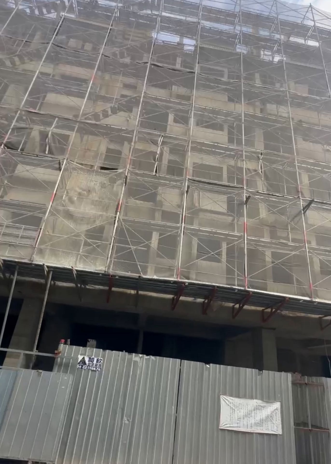 相片 9