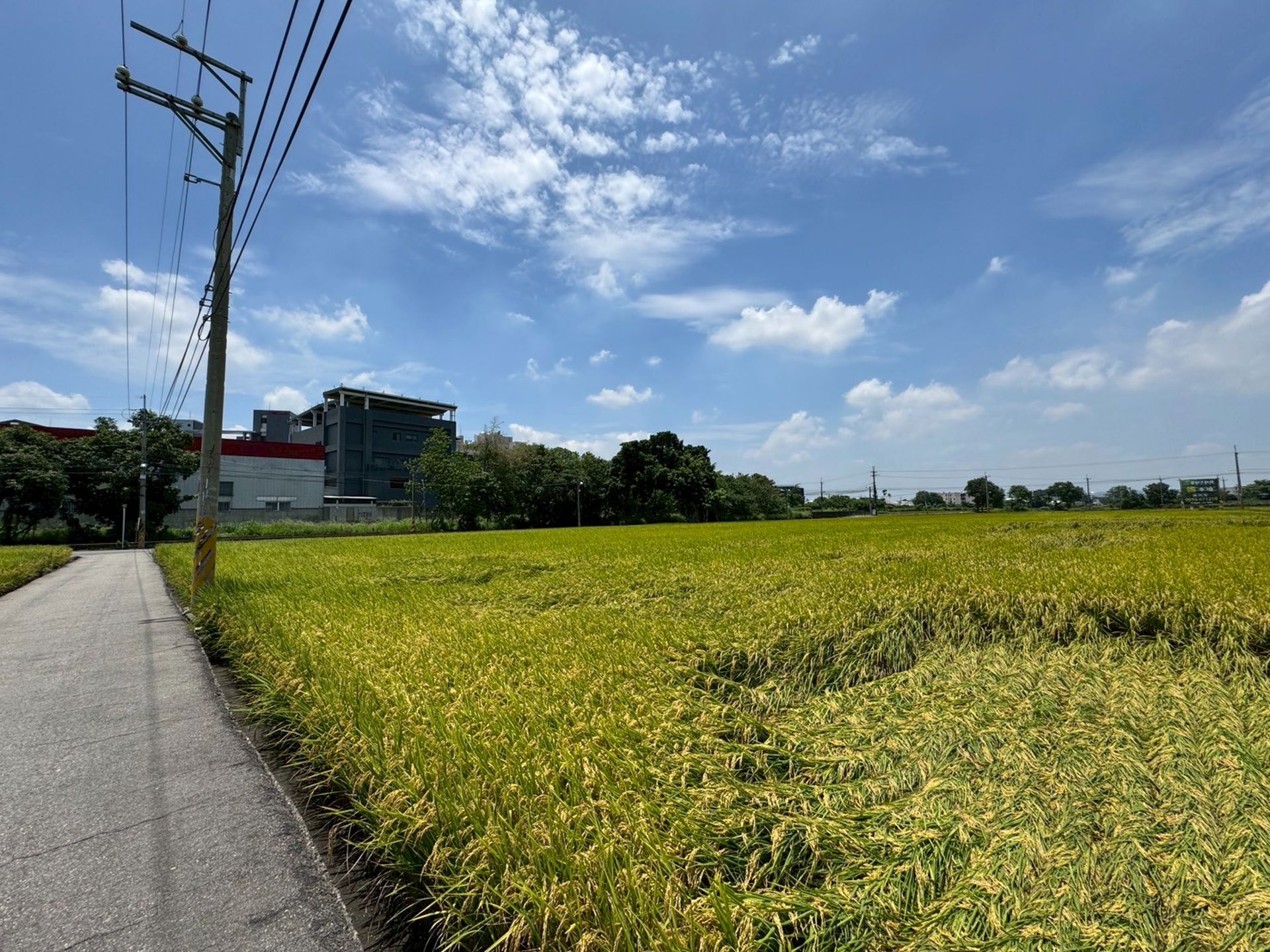相片 10