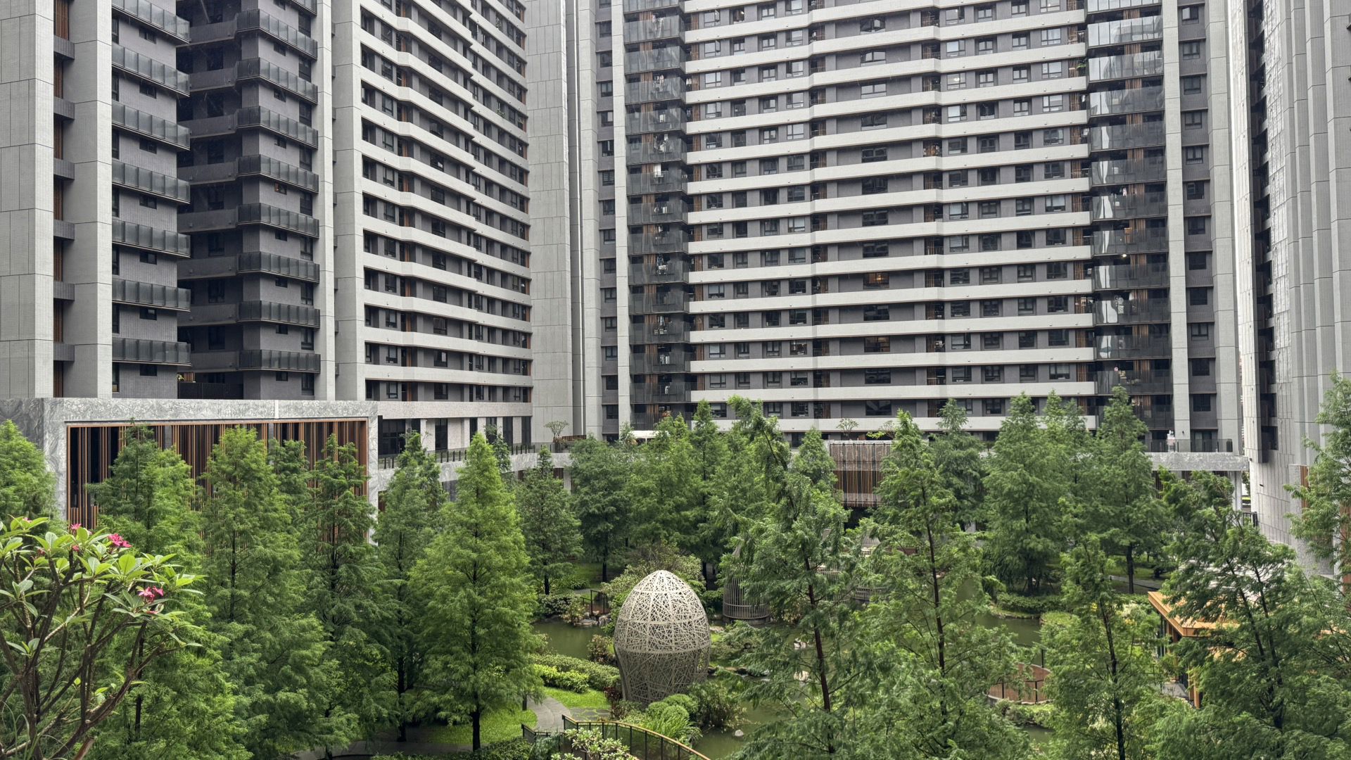 相片 10