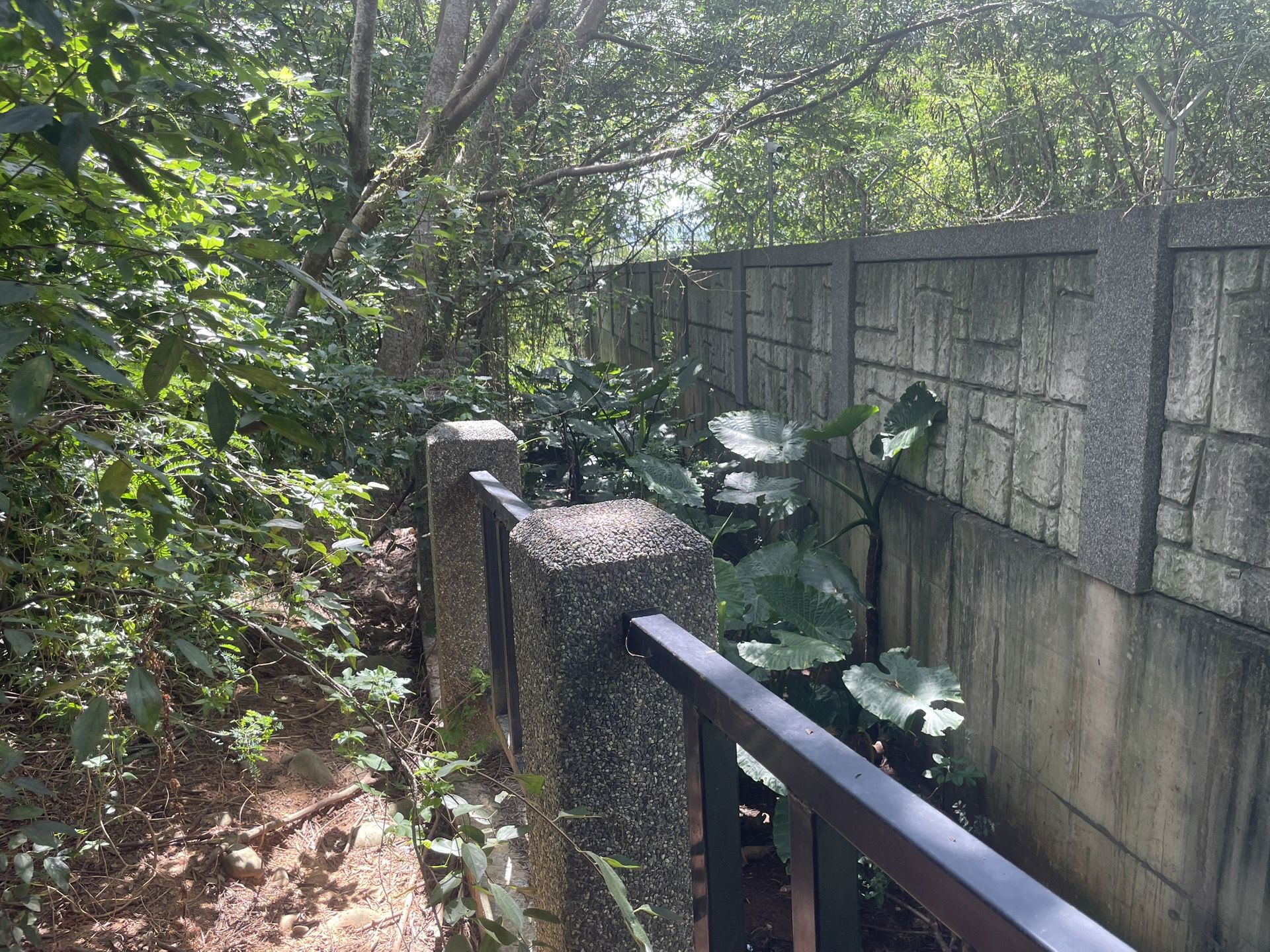 相片 11