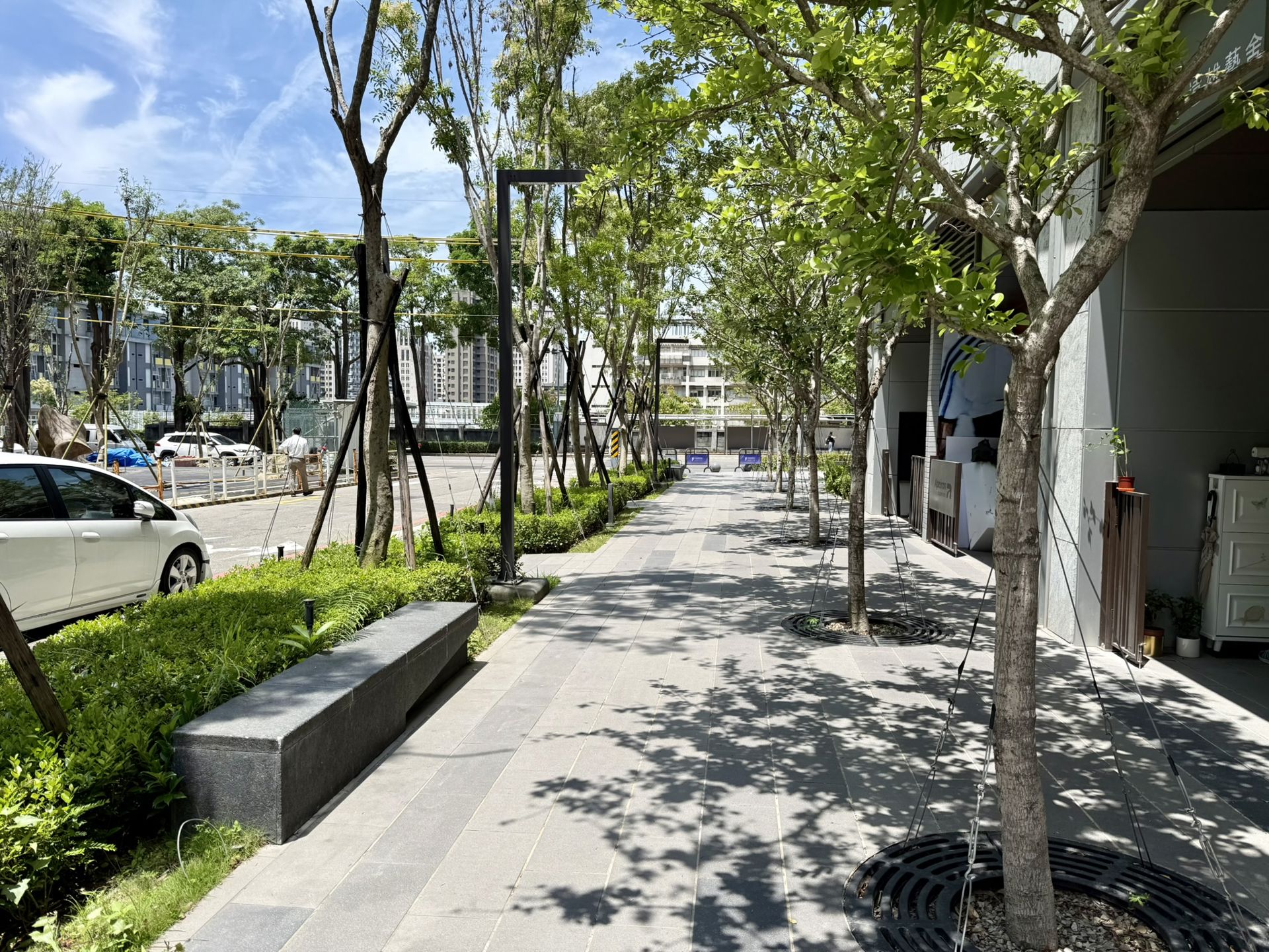 相片 11
