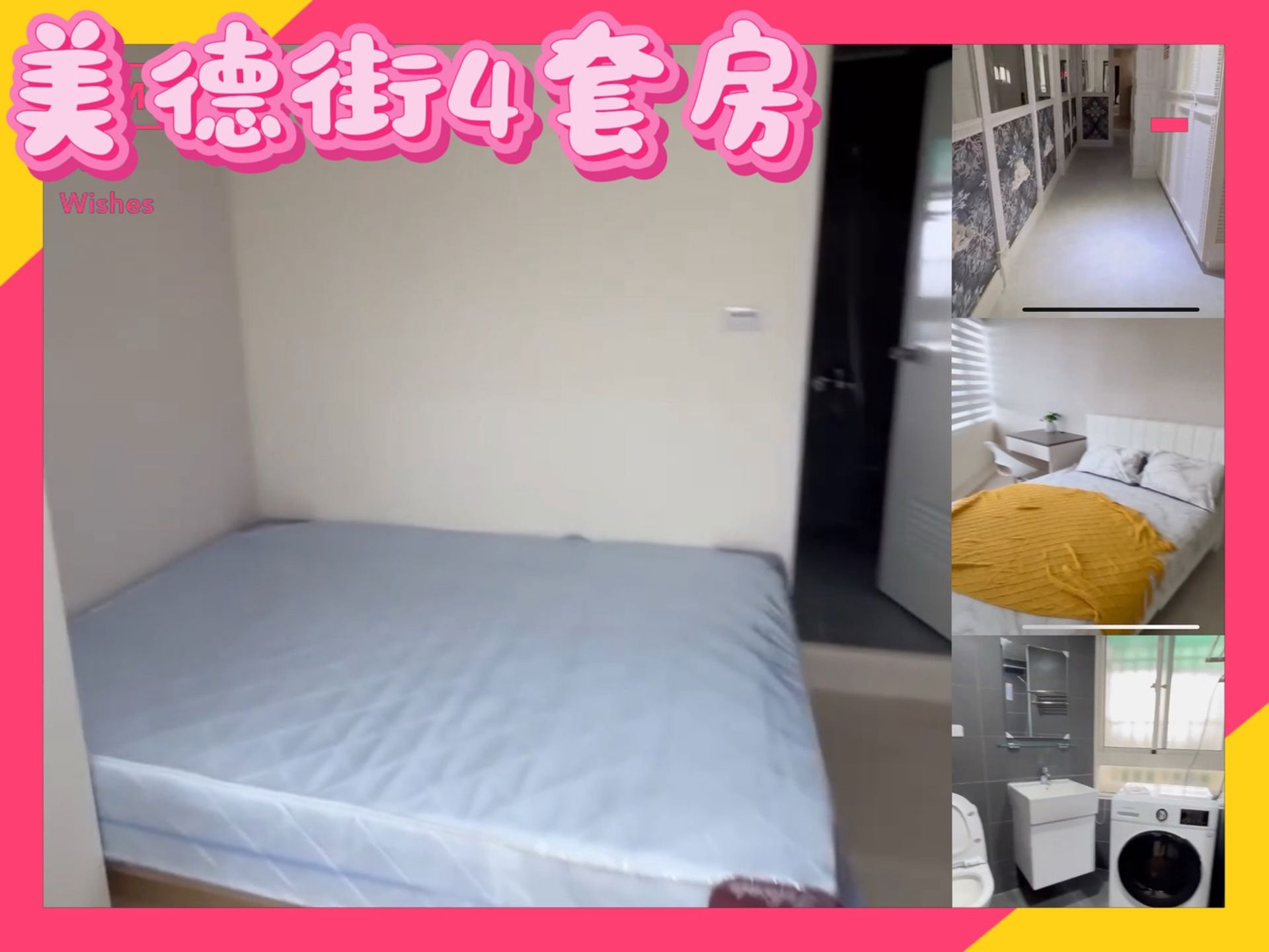 相片 13