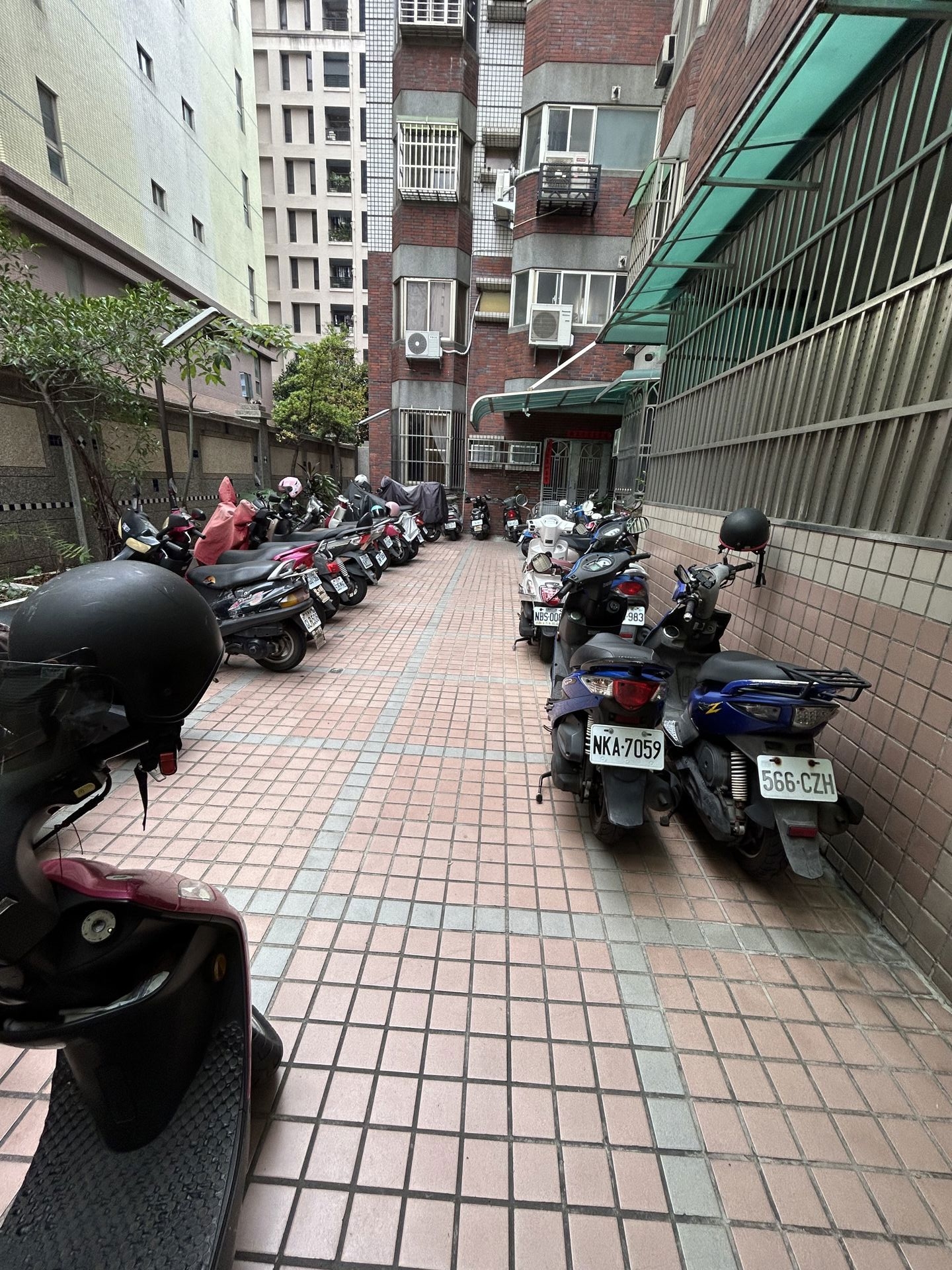 相片 15